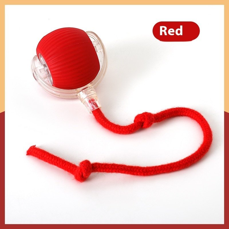 Unleash the Fun with Our Interactive Cat Toy Ball