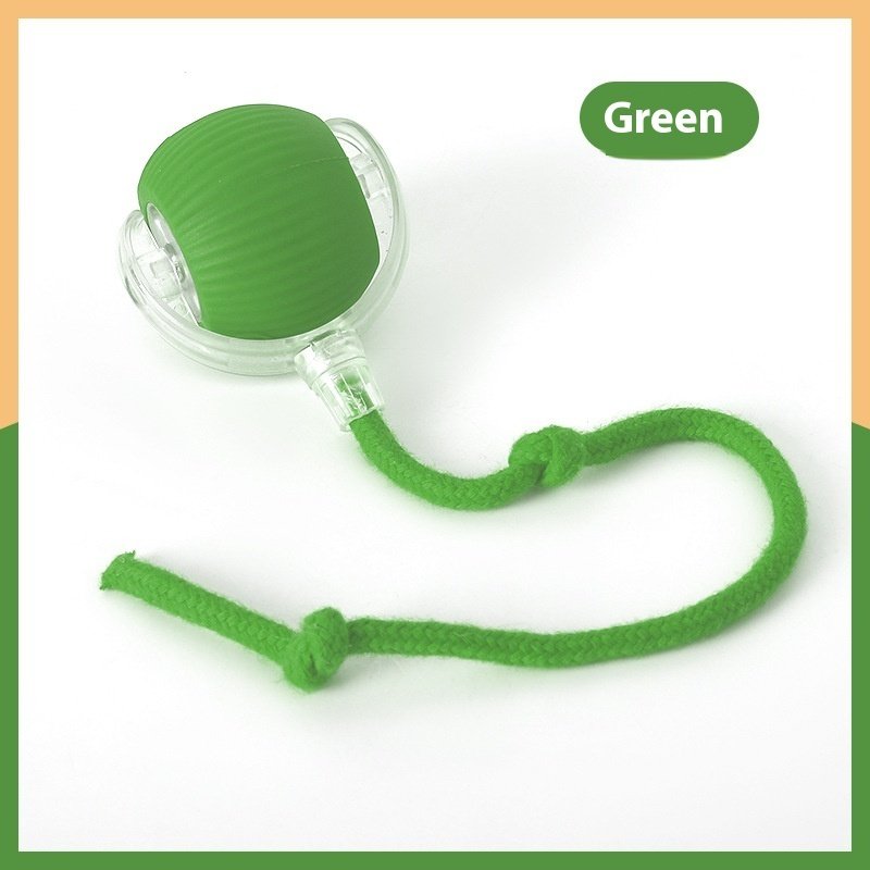 Unleash the Fun with Our Interactive Cat Toy Ball