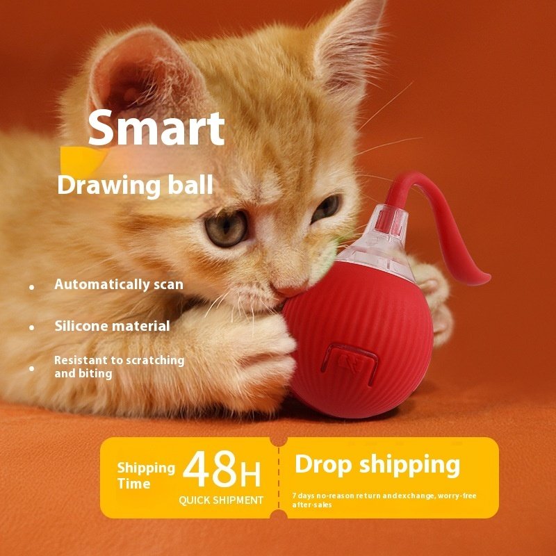 Unleash the Fun with Our Interactive Cat Toy Ball